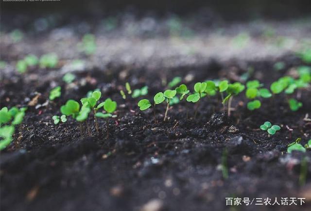 土壤也會生病 土壤修復問題刻不容緩
